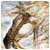 hoossicttouts's Avatar