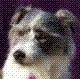 Onomoney's Avatar